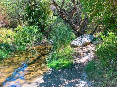 Alum Rock Park – Roadside Secrets