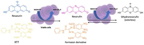 Methods Used for the Eradication of Staphylococcal Biofilms
