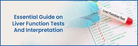 Essential Guide on Liver Function Tests And Interpretation