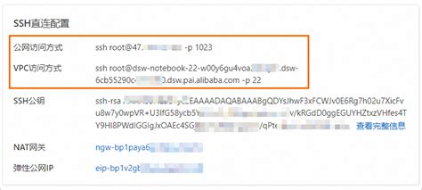 使用直连方式远程连接DSW_人工智能平台 PAI(PAI)-阿里云帮助中心