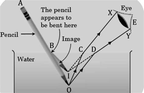 11. What does a pencil appear to be bent when dipped in a glass of ...