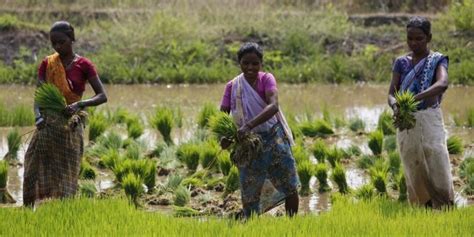 The Agriculture Sector Has What It Takes to Drive Post-COVID-19 ...
