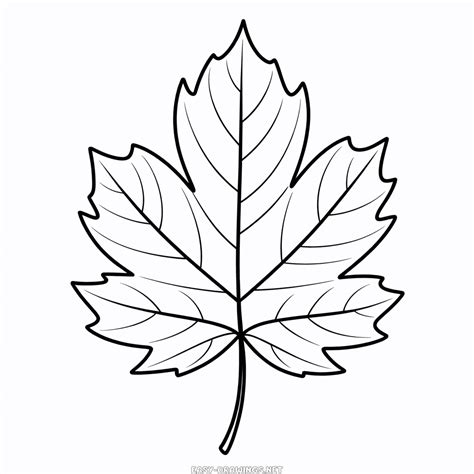 Fall Leaf Easy Drawing | Easy Drawings