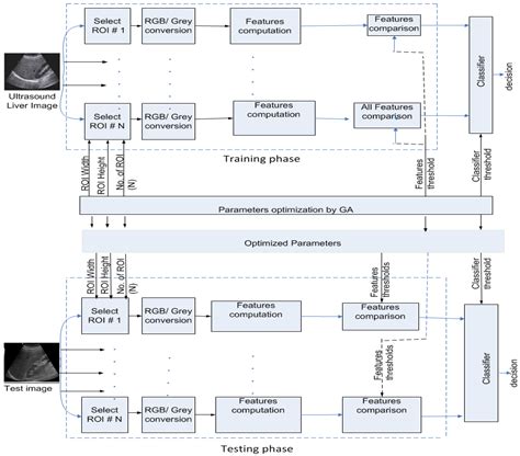 Automatic Classification of Fatty Liver Disease Based on Supervised ...
