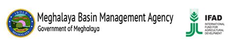 MBMA