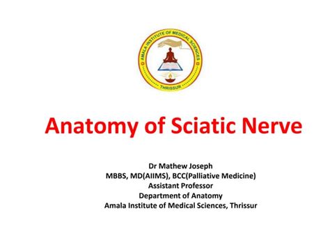 Image result for P-Block Notes Class 12