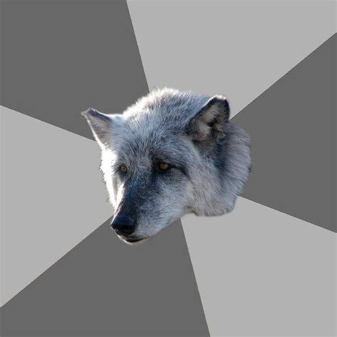 crying wolf quotes
