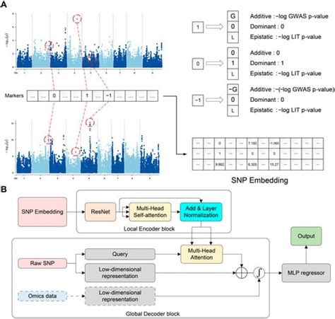 Biological Prior Knowledge-Embedded Deep Neural Network for Plant ...