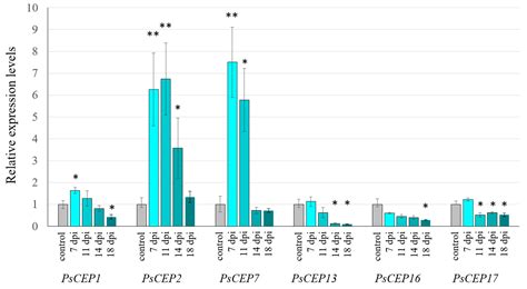 Identification and Expression Analysis of the C-TERMINALLY ENCODED ...