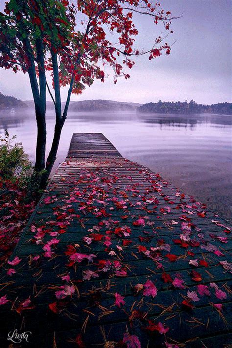 Pin by Desert.69 on Animated Gif ༺ ༻ | Nature photography, Landscape ...