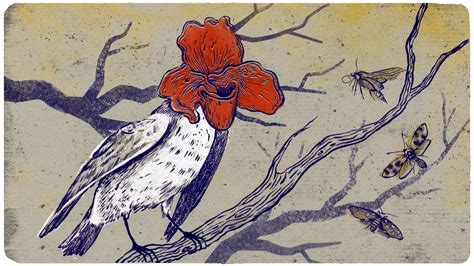 Future Animals Evolution 的图像结果