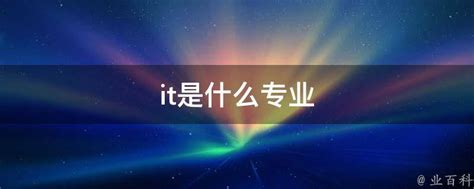 it是什么专业 - 业百科