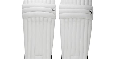 Buy Puma Future 20.5 Batting Pad Online SCS Sports