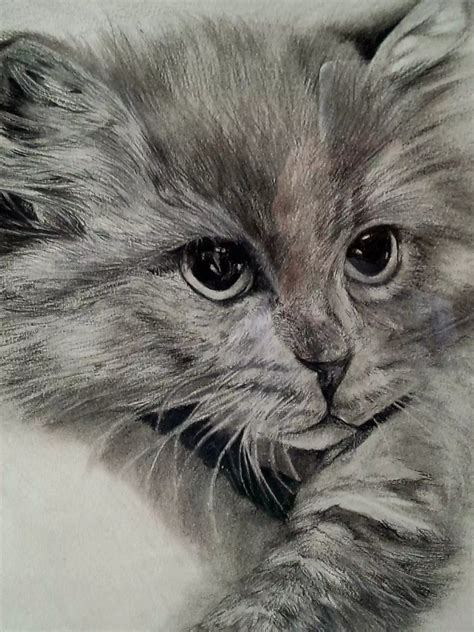 素描写实 的图像结果