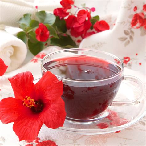 Benefits of Hibiscus Tea | Blog - Moment