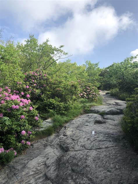 280 best Blood Mountain images on Pholder | Georgia Camp And Hike ...