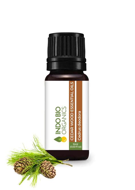 Indo Bio Organics Cedarwood Essential Oil (30 ml), Cedarwood Oil For ...