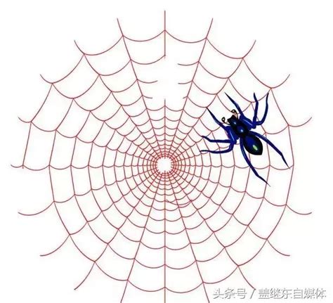 蜘蛛陷阱（网站优化必知的陷阱和解决方案）-8848SEO