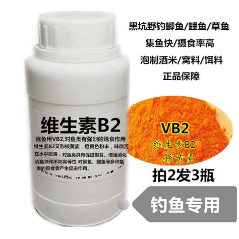 VB Creating Projects Tutorial 的图像结果