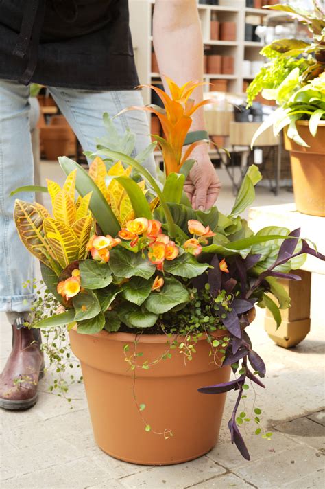 Container Garden Design