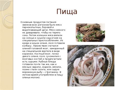 Народы России "Эвенки"