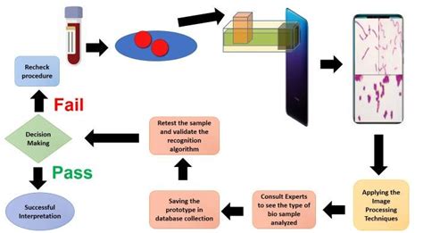 Sample Test Procedure 的图像结果