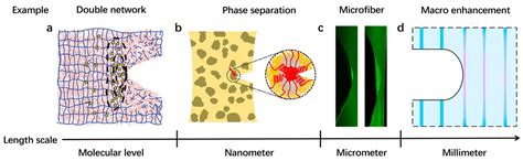 A Review on Tough Soft Composites at Different Length Scales