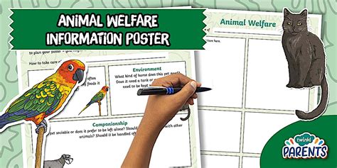 Animal Welfare Information Poster Activity Sheet