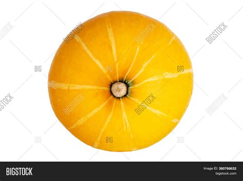 Round Yellow Squash