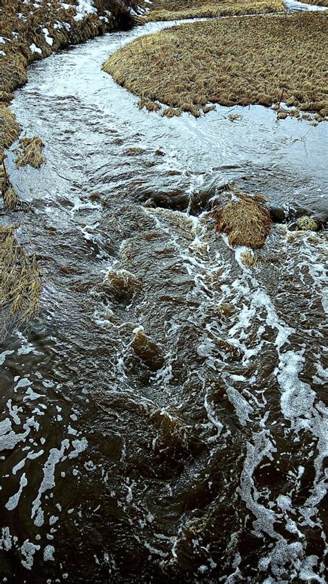 Image result for Calgary Spring Weather