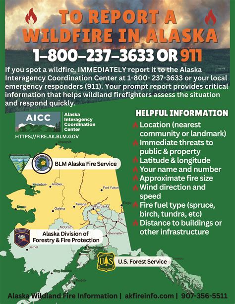 What triggered the wildfire surge across Interior Alaska around solstice? – Alaska Wildland Fire ...