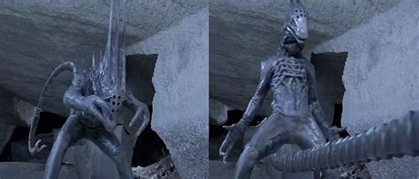 Image result for Alien Vs Ninja Sequel