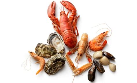 COVID-19 and shellfish: New Zealand industry positive on trade recovery ...