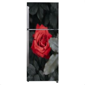 Kanha Enterprises 160 cm Wallsticker Self Adhesive Sticker Price in ...