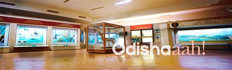 Odisha Tourism : Regional Museum of Natural History