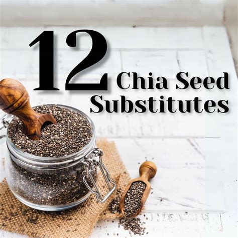 Ground Chia Seeds Substitute at George Ochoa blog