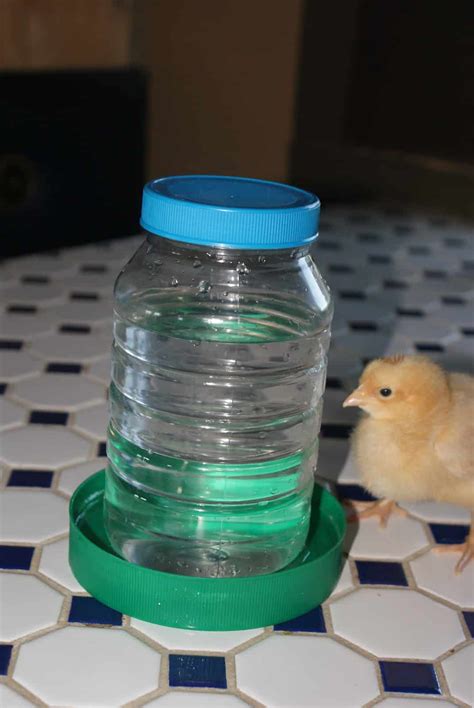 27 DIY Chicken Feeder Ideas - You Can DIY this Weekend