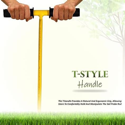 Image result for Gopher Probe