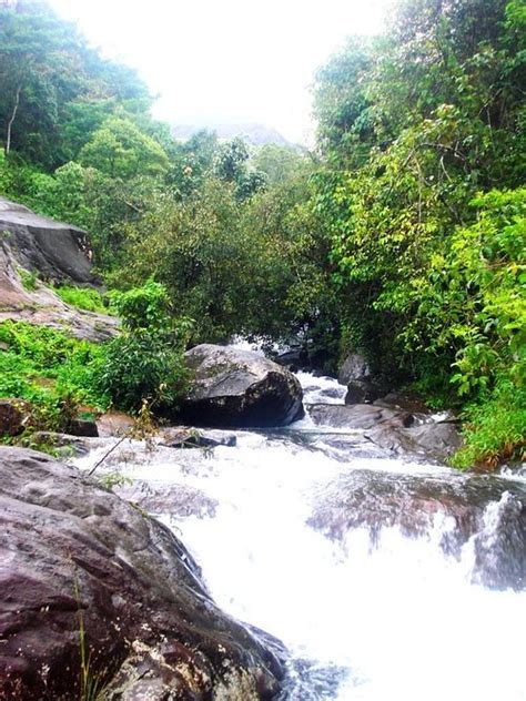 STREAM GARDEN MOUNTAIN RESORT (Kottappadi Part) - Resort Reviews ...