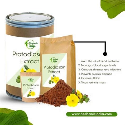 Herbal Extracts - Sunflower Seeds Extract Powder Manufacturer from Kanpur