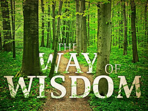 WISDOM – Higher Density Blog