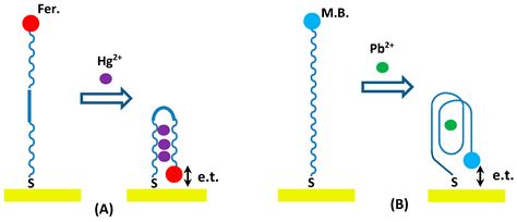 Development of Novel and Highly Specific ssDNA-Aptamer-Based ...