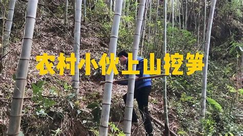 村民上山采笋与山林承包方发生冲突，多人受伤3人伤势较重，村民：对方用圆月弯刀砍人，哪些信息值得关注？ - 知乎