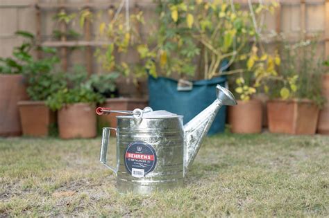 The 8 Best Outdoor Watering Cans of 2026 - Reviews by Your Best Digs
