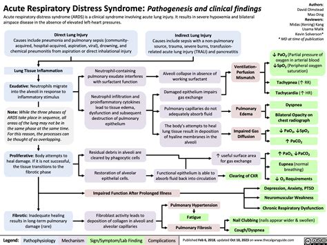 Acute Respiratory Distress Syndrome Concept Map Coronavirus Disease