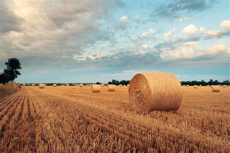 A field of hay with bales of hay in the foreground photo – Free Nature ...