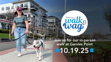 Walk & Wag 2025: National Fundraising Challenge to Save Homeless ...