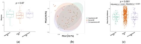 Exploring the Interplay of Gut Microbiota and Systemic Inflammation in ...
