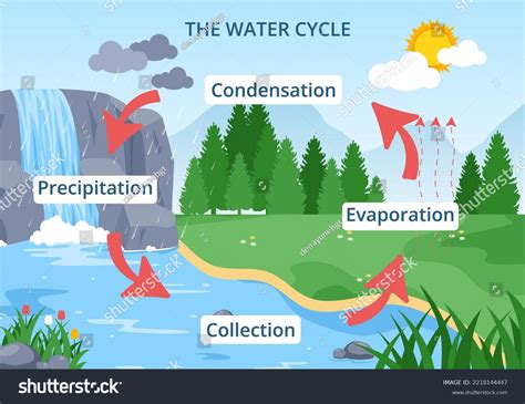 Water Cycle: Over 74,379 Royalty-Free Licensable Stock Illustrations ...