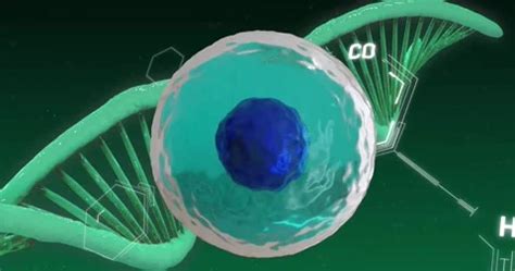 Algorithm Cell Animation 的图像结果